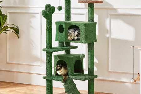 Cleobury 53'' Height Cat Cactus Tree Condo Kitten Tree Tower