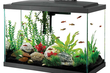 Aquarium Fish Tank Starter Kit with LED Lighting 20 High