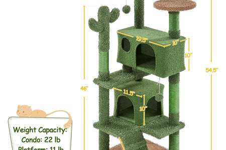 Cleobury 53'' Height Cat Cactus Tree Condo Kitten Tree Tower
